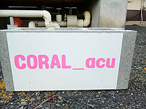 コーラルアキュの駐車スペース